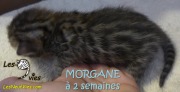 2016-12-27 Morgane (4)