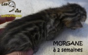 2016-12-27 Morgane (7)