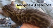 2017-01-07 Morgane (10)