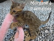 2017-02-01 Morgane (5)