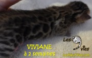 2016-12-27 Viviane (7)