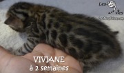 2016-12-27 Viviane (8)
