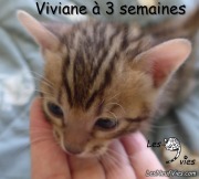 2017-01-07 Viviane (10)