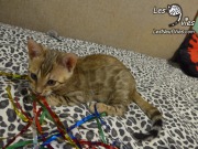 2017-02-15 Viviane (1)