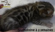 2016-12-27 Gwendoline (3)