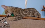 2017-02-13 Gwendoline (6)