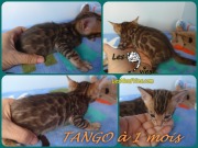 2019-06-29 Tango a 1 mois (1)
