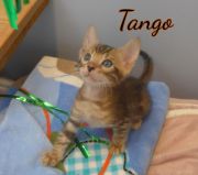 2019-07-16 Tango (4)