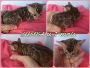 2019-06-29 Zumba a 1 mois (1)