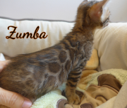 2019-07-18 Zumba (2)