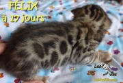 2016-07-10 Félix (4)