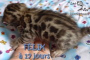 2016-07-10 Félix (7)