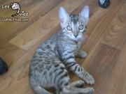 2016-09-20 Mitsou (1)