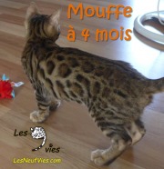 2016-10-09 Mouffe (14)