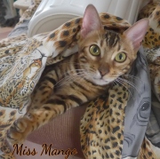 2020-02-11-Miss-Mango-a-8-mois-1