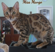 2020-02-11-Miss-Mango-a-8-mois-3