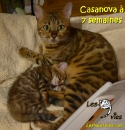2016-11-20 Casanova (2)