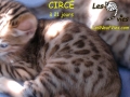 2012-05-15 Circé