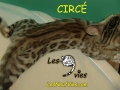 2012-07-24 Circé (6)