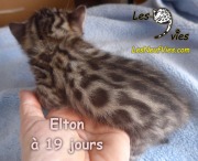 2019-06-25 Elton (19 jours) (6)