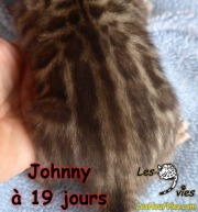 2019-06-25 Johnny (19 jours) (12)
