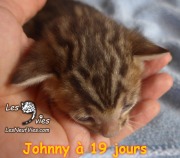 2019-06-25 Johnny (19 jours) (16)