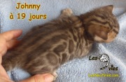 2019-06-25 Johnny (19 jours) (18)