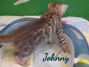 2019-07-16 Johnny (2)