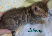 2019-07-16 Johnny (4)