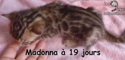 2019-06-25 Madonna (19 jours) (12)