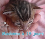 2019-06-25 Madonna (19 jours) (7)