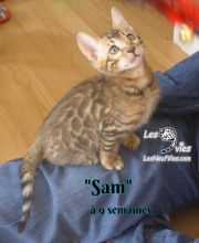 2019-03-13 Sam (30)