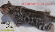 2015-12-20 Clémence (2)