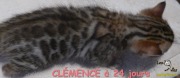 2015-12-20 Clémence (4)