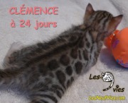 2015-12-20 Clémence (7)